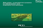 BraSil: enfrentando o desafio da produtividadeimage-src.bcg.com/Images/BCG-Brazil-Enfrentando-Desafio... · Baixo nível de investimento Quadro institucional deficiente ... país