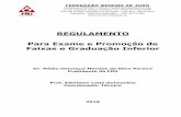 REGULAMENTO Para Exame e Promoção de Faixas e …judomineiro.com.br/_media/1.-regulamento-de-graduao... · 2018-05-17 · reformulação no Regulamento de Exame e Outorga de Faixas