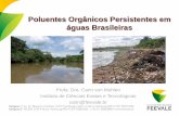Poluentes Orgânicos Persistentes em águas Brasileiras · medida de toxicidade que situa o País na média mundial de emissões de dioxinas e furanos. POPs na água POLUENTES ORGÂNICOS