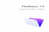 FileMaker 14 · 2015-05-12 · Mapeamento de campos do FileMaker para tipos de dados ODBC 31 ... Tipos de dados em aplicativos de 64 bits 32 ... aplicativos escritos na linguagem