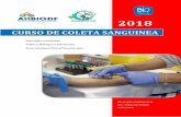 CURSO DE COLETA SANGUINEA - crbio04.gov.br · Equipamentos e instrumentos de coleta (scalp, seringas, agulhas, sistemas à vácuo). RDC de Laboratórios Prático: Coleta de sangue