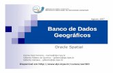 Banco de Dados Geográficos - DPI/OBT/INPEwiki.dpi.inpe.br/lib/exe/fetch.php?media=oracle_spatial.pdf · Funções: Definidas como subprogramas PL/SQL Usados na cláusula WHERE ou