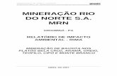 MINERAÇÃO RIO DO NORTE S.A. MRNlicenciamento.ibama.gov.br/Mineracao/MRN Plato Arama/RIMA...MINERAÇÃO RIO DO NORTE S.A. - MRN - ORIXIMINÁ - PA - 01-0184-05-B-001.DOC RELATÓRIO