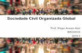 Sociedade Civil Organizada Global · dedicadas a direitos humanos (especialmente a pautas de migração), movimentos de mulheres e redes de articulação, como a REBRIP (Rede Brasileira