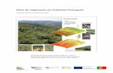 Atlas da Vegetação do Sudoeste Portuguêsatlas.cimal.pt/drupal/sites/default/files/fotos_biodiversidade... · um padrão também homogéneo de perturbação e de condicionantes
