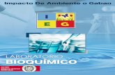 Impacto De Ambiente o Gabao - ieg-impacts.comieg-impacts.com/wp-content/uploads/2017/07/portugais-ieg-labo.pdf · • COLOMETRIA: grau de água inferior a 0,05% sobre a exportação,