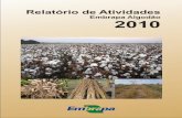 Relatório de Atividades · Sustentabilidade da Agricultura Brasileira; Competitividade em Agroenergia e Biocombustíveis; Uso Sustentável dos Biomas e Integração Produtiva das