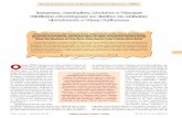 Imagens, Analogias, Modelos e Charge: Distintas Abordagens ...qnesc.sbq.org.br/online/prelo/PIBID-127-12.pdf · e charge foram usadas com o intuito de proporcionar uma ampla discussão