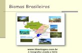 Biomas Brasileiros - tiberiogeo.com.br · O maior bioma brasileiro ocupa, praticamente, um terço da área do País. ... Associada a este bioma encontramos a restinga e os manguezais;