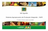 SAPI - mapas.agricultura.gov.brmapas.agricultura.gov.br/agroeventos/uploads/20081103_173709... · A Importância da Rastreabilidade • EUROPEUROPA – Lei Geral dos Alimentos –