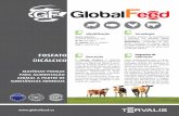 FOSFATO - globalfeed.esglobalfeed.es/images/fichas/2017/folleto_globalfeed_dcm_pt_julio.pdf · do ácido fosfórico e fonte de cálcio, matérias-primas que são aptas para a nutrição