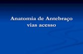 Anatomia de Antebraço vias acesso - ortobook.com.brortobook.com.br/wp-content/uploads/group-documents/13/1349042296... · Anatomia de Antebraço vias acesso . Nervos ante-braço