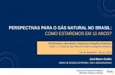PERSPECTIVAS PARA O GÁS NATURAL NO BRASIL - … · Empresa de Pesquisa Energética Ministério de Minas e Energia PERSPECTIVAS PARA O GÁS NATURAL NO BRASIL: COMO ESTAREMOS EM 10