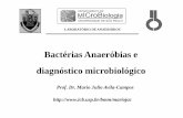 Bactérias Anaeróbias e diagnóstico microbiológico · primeiras formas de vida que emergiram em nosso planeta (Gest, 1980). Laboratório de Anaeróbios ... crescem em anaerobiose