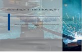 Sondagem de Inovação - old.abdi.com.brold.abdi.com.br/Estudo/Sondagem201702TRIM.pdf · 2.1 caracterÍsticas gerais da pesquisa A Sondagem de Inovação é uma pesquisa trimestral