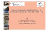 ESPA ÇO URBANO E TUBERCULOSE: UM ESTUDO DE … Rafael... · Taxa de incidência de Tuberculose Brasil 2001: ... •Análise exploratória dos dados do censo demográfico 2000 realizado