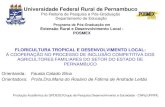 Universidade Federal Rural de Pernambuco - gpdeso.comgpdeso.com/wp-content/uploads/arquivos/dissertacao/fausta-dissert... · Agricultores familiares da Floricultura Tropical do Estado