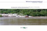 Documentos · 2017-08-16 · Comitê Local de Publicações da Embrapa Pantanal Membros: ... balanço patrimonial, ... O custo bruto da atividade no programa é definido como o custo