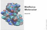 Biofísica Molecular - azevedolab.net · Em 1950 não havia informação estrutural sobre proteínas, e sua previsão foi ... para geramos uma representação gráfica ... o que facilita