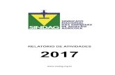 Relatório de Atividades 2017 - sindag.org.brsindag.org.br/wp-content/uploads/2018/02/Relatório-de-Atividades... · RELATÓRIO DE ATIVIDADES 2017 ... 365 fatos sobre a Aviação
