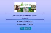 MÉTODOS MATEMÁTICOS 5a Aula Aula Claudia Mazza Dias ... · Partindo-se da equação logística (mesma do exemplo de aplicação de EDO), ... intraespecífica como também a competição