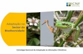 Sector da Biodiversidade - apambiente.pt · Medidas de adaptação a aplicar no curto prazo Desenvolver modelos de análise dos efeitos das alterações climáticas na biodiversidade