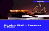 Direito Civil - Pessoas e Bensdireito.club/wp-content/uploads/2018/07/DIRCIV1-LIVRO-01.pdf · 2018-07-05 · ... seria o de Radbruch (1951, p. 47), para o qual “é o conjunto de