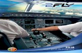 PORTUGAL · Avião multi-motor Qualiﬁcação de Instrumentos EASA Multi-cre Cooperation Treinamento de Orientação de Jato Airbus ou Boeing simulador completo de voo Licença de