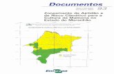 Documentos. - CORE de Aptidão e de Risco Climático para a Cultura da Mamona no Estado do Maranhão -47. *,