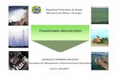BRASIL - Panorama Brasileiro - olade.org - Panorama... · ¾Balanço Energético Nacional ... Estudo de Projeção da Matriz Energética Nacional Biomassa Gás Natural Eletricidade