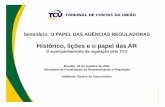 O acompanhamento da regulação pelo TCU · O Brasil passou a adotar o modelo de Estado Regulador , ... Viabilidade Ambiental ... declaração do licitante de conhecimento de todas