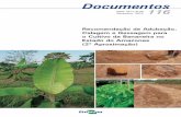 Recomendação de Adubação, Calagem e Gessagem para o ... · Recomendação de adubação, calagem e gessagem para o cultivo da bananeira no Estado do Amazonas (2ª aproximação)