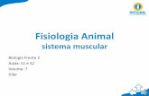 Fisiologia(Animal( · Fisiologia(Animal(sistema(muscular(Biologia'Frente'2' ... Músculo(Estriado(Cardíaco(Músculo(Estriado(Cardíaco(Músculo(Estriado(Cardíaco(Sarcômero(e(Contração