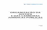 ORGANIZAÇÃO DA JUSTIÇA E DAS CARREIRAS JURÍDICAS …direitorio.fgv.br/sites/direitorio.fgv.br/files/u1882/organizacao... · as demais Instituições constitucionalmente incumbidas