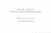 MC-102 Aula 12 Matrizes e Vetores Multidimensionais · Matrizes e Vetores Multidimensionais s~ao generaliza˘c~oes de vetores simples vistos anteriormente. ... (Instituto de Computa˘c~ao