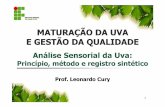 MATURAÇÃO DA UVA E GESTÃO DA QUALIDADE 3 - Degustação de bagas _(parte... · A maturação da uva é um fenômeno complexo e métodos usuais de análise não são suficientes