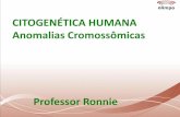 CITOGENÉTICA HUMANA Anomalias Cromossômicas · • Repetição de um segmento cromossômico, causando um aumento do número de genes ou outras sequências . –maioria resultante