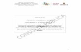 Minuta - Consulta Pública Processo Administrativo n.º ...consultapublica.spturis.com.br/wp-content/uploads/2016/02/01... · Minuta - Consulta Pública ... acordo de voto ou sob