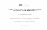 CARATERIZAÇÃO DE PATOLOGIAS EM P RODOVIÁRIOSrepositorio-aberto.up.pt/bitstream/10216/68091/1/... · 2017-08-28 · com a caraterização e análise de um troço de pavimento (caso