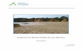Programa de Monitorização do Lixo Marinho Portugal Marinho/Relatrio Lixo... · programa de monitorização do lixo marinho nas praias de Portugal Continental, coordenado pelo DAI