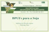 BPUFs para a Soja - IPNI - Brasilbrasil.ipni.net/ipniweb/region/brasil.nsf... · 59,8 0,4 4,9 9,5 11,3 18.6 20,7 21,2 Evolução da soja no Brasil Soja Fonte: Conab 7,3 16,4 24 46,1