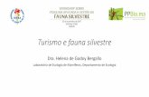 Turismo e fauna silvestre - fapesp.brfapesp.br/eventos/2017/fauna/15h10_Helena_Bergallo.pdf · através de contribuição para conservação e/ou indiretamente por prover um retorno