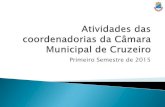 Primeiro Semestre de 2015 - Câmara Municipal de Cruzeiro · controle de frota; ... 1º semestre 2015 janeiro fevereiro marÇo abril maio junho. gabinete dos vereadores arquivo ...