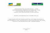 UNIVERSIDADE DE BRASILIA UNB UNIVERSIDADE ABERTA …bdm.unb.br/bitstream/10483/5331/1/2013_MariaJoaquinadoCarmoSilva.pdf · Pedagogia, à Comissão Examinadora da Faculdade de Educação