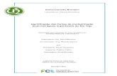 Identificação das fontes de contaminação fecal nas águas … · III Greice Carvalho Brondani Licenciada em Ciências Biomédicas Identificação das fontes de contaminação
