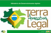 Regularização Fundiária na Amazônia Legal TERRA LEGAL ...portal.cnm.org.br/sites/6700/6745/palestra_3_terra_legal.pdf · 4 módulos fiscais sem vistoria prévia (auto declaração);