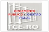 ORÇAMENTO PÚBLICO & GESTÃO FISCAL · Planejamento-Orçamento Público - PPA PROGRAMA - elemento central da integração do planejamento, orçamento e gestão GESTÃO ORÇAMENTO