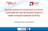 Exposição Ambiental e Ocupacional ao Amianto: onstrução da rede de ...brasilsemamianto.com.br/wp-content/uploads/2018/05/17.05-Quinta... · Elaboração da Ficha para avaliação