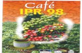 Cultivar Café IPR 98 - sapc.embrapa.br · dispensa agrotóxicos para controle da ferrugem, ... la quinzena maio 2a quinzena maio 2a quinzena junho la quinzena julho 2a quinzena julho