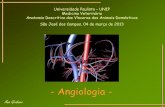 Angiologia - medvet2016blog.files.wordpress.com · Ana Grabner Universidade Paulista – UNIP Medicina Veterinária Anatomia Descritiva das Vísceras dos Animais Domésticos São
